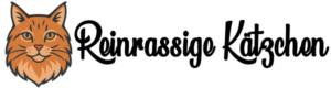 slider22-1024x683
