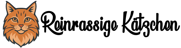 slider22-1024x683